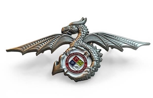 custom 3d dragon die struck lapel pin