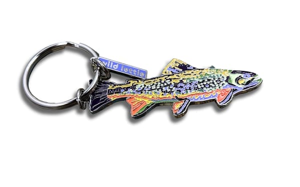 2d shiny nickel soft enamel keychain