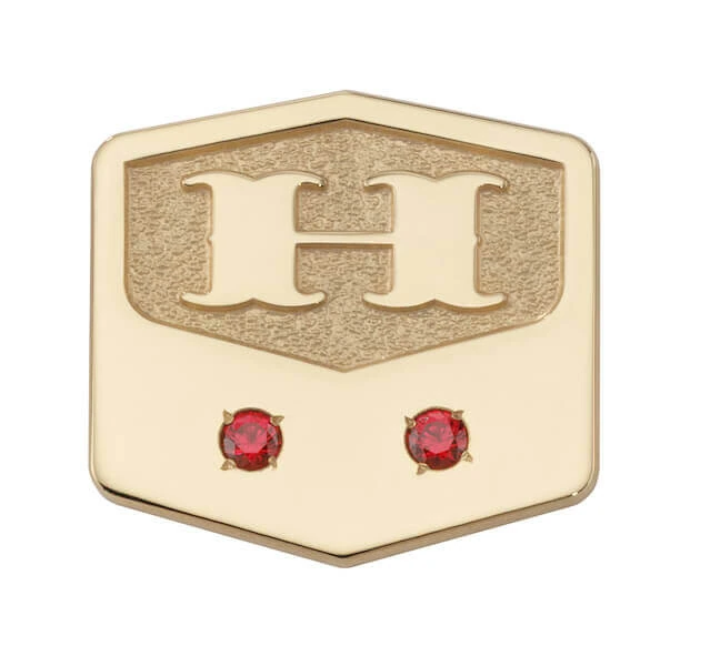 ruby lapel pin