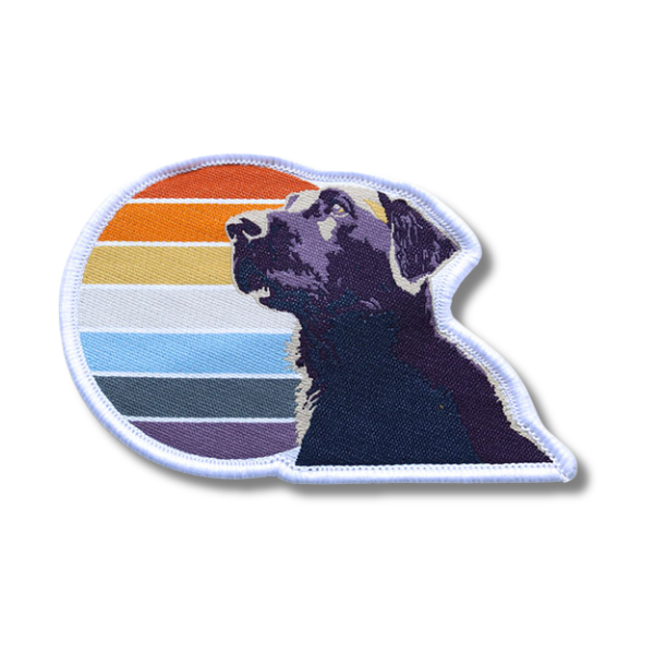 Rainbow Woven Dog Patch