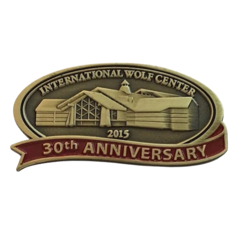 30 year work anniversary gold pin