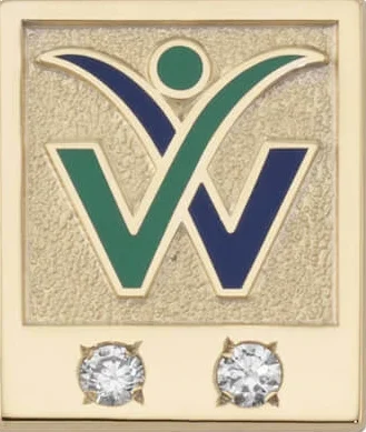 gold pin with two diamonds