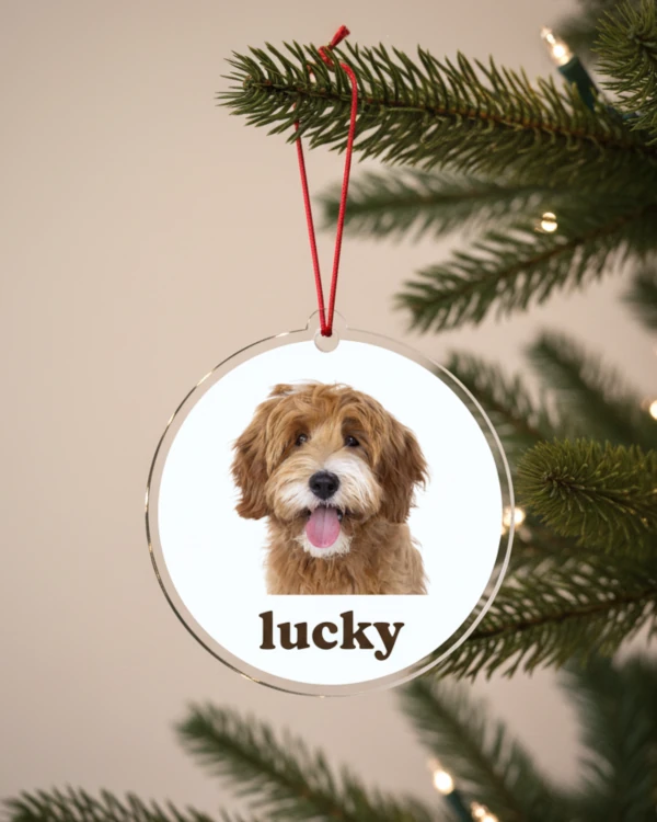 Personalized Acrylic Ornaments