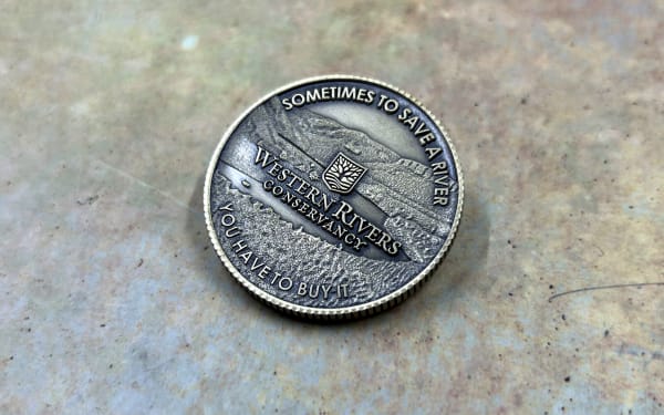 antique bronze 3D coin for western rivers conservancy