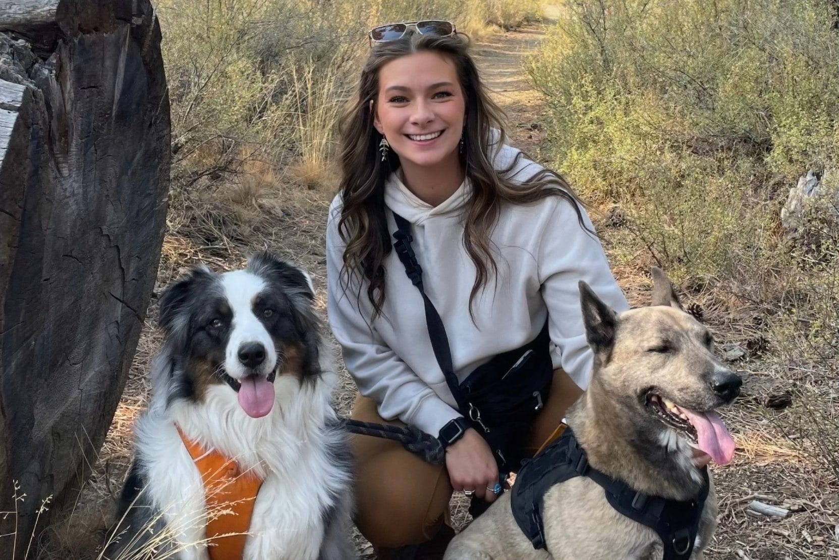 Amalia Reading with dogs